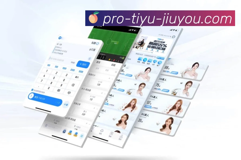 App Interface Preview